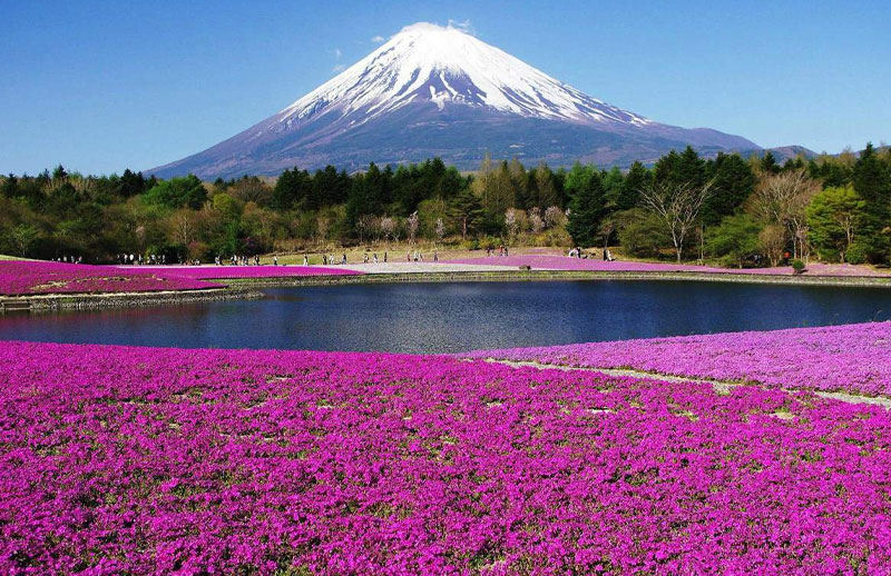 Kinh nghiệm du lịch leo núi Phú Sĩ cần biết