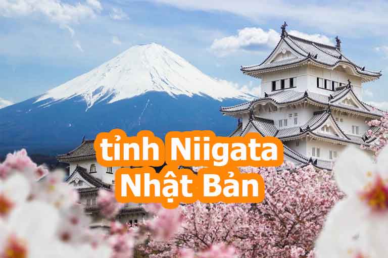 tỉnh Niigata