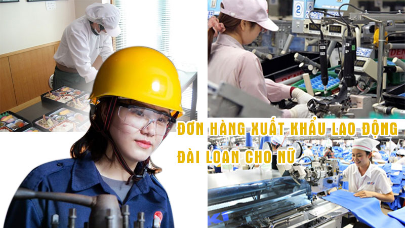 Những đơn hàng xuất khẩu lao động Đài Loan cho nữ tốt nhất