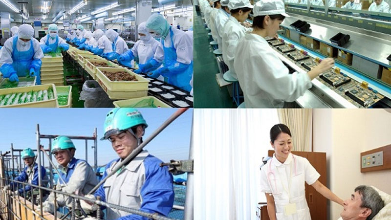 Có nên xuất khẩu lao động Đài Loan năm 2023 không?