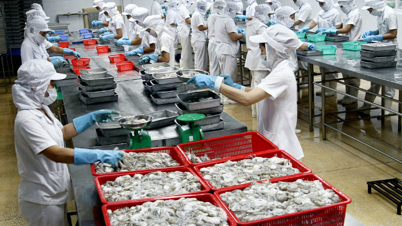 Những lưu ý khi tham gia đơn hàng chế biến thủy sản tại Đài Loan