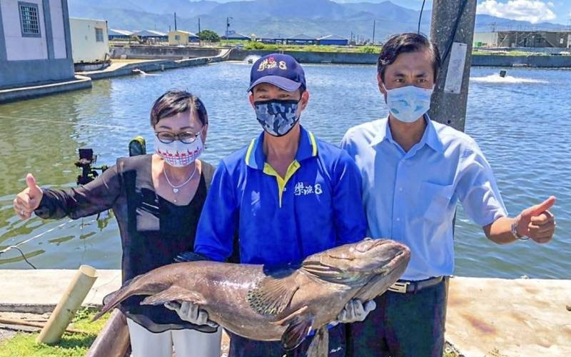 Có nên đi XKLĐ đơn hàng chăm nuôi cá tại Đài Loan không?